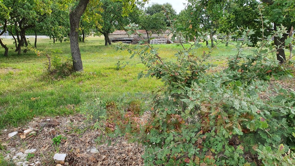 Land, 580 m2, For Sale, Nin